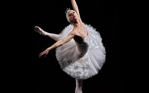 O LAGO DOS CISNES | Tchaikovsky National Ballet