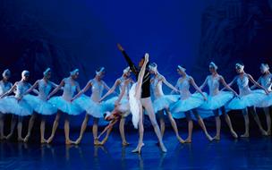 LAGO DOS CISNES | Russian Classical Ballet